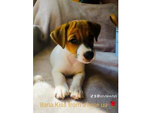 Прекрасна Ilaria Kiss from a rose ua!