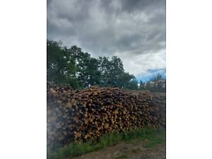 Продаємо соснові дрова.