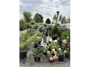 Продається бізнес САДОВИЙ ЦЕНТР