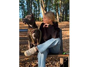 Продаж цуценят стаффордширського тер'єра.