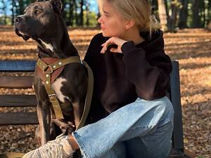 Продаж цуценят стаффа