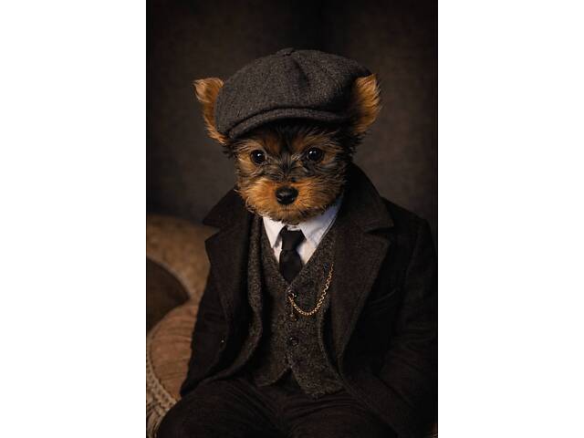 Продажа щенков Йоркширский терьер - мальчики и девочки. - Фото 4