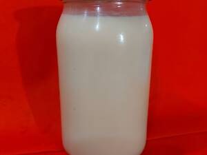 Продам домашний говяжий жир