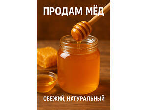Продам домашній мед.
