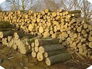 Продам дрова метрові акація