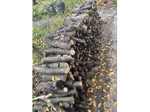 Продам дрова ореха