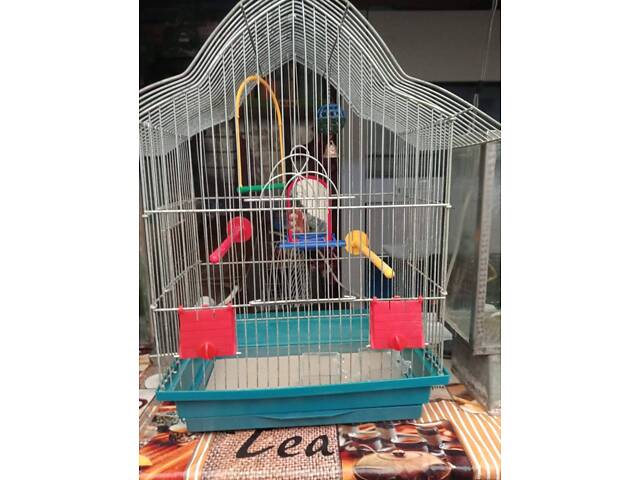 Продам клетки для волнистых попугаев и попугаев 300гр. 1шт. - Фото 2