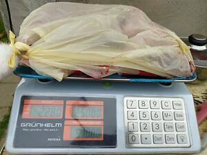 Продам м'ясо кролика.