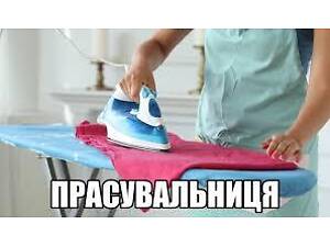 професійні пакувальниці прасувальниці