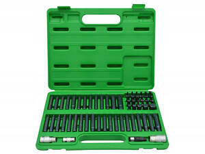 Професійний набір біт TORX, HEX, SPLINE, RIBE, SQ 60ед. TOPTUL GCAI6003