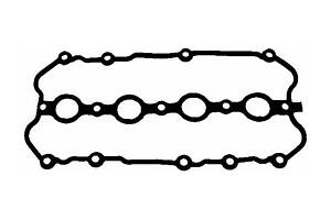 Прокладання клапанної кришки 497.240