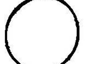 Прокладка колектора ELRING 475931 на VW GOLF PLUS (5M1, 521)