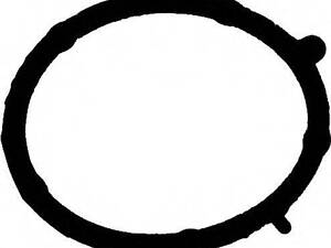 Прокладка колектора впуск Doblo 1.9 D 01- VICTOR REINZ 713568100 на FIAT PUNTO (188)