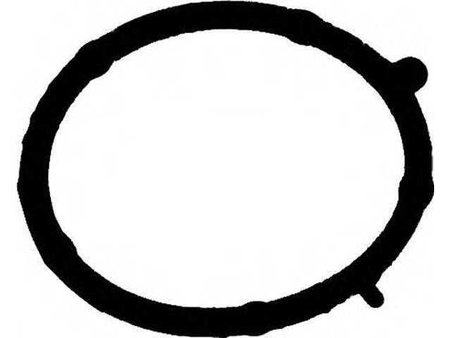 Прокладка колектора впуск Doblo 1.9 D 01- VICTOR REINZ 713568100 на FIAT PUNTO (188) - Фото 1