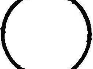 Прокладка коллектора впускного VW Caddy III 1.6i 04-15 VICTOR REINZ 713420300 на VW GOLF PLUS (5M1, 521)