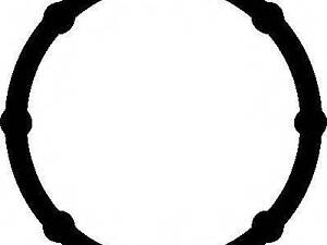 Прокладка впускного колектора ELRING 331630 на RENAULT TRAFIC II автобус (JL)