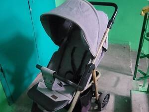 Прогулянковий візок Carello Vista