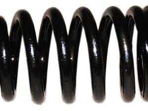 8200055561 Пружина клапана 1.5DCI 8V Renault Kangoo 97-07, Renault Megane II 03-09, Nissan Kubistar 03-08 (8200055561)