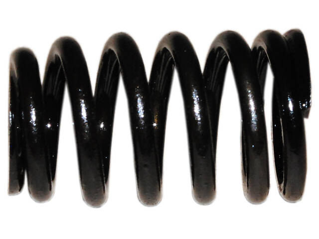 8200055561 Пружина клапана 1.5DCI 8V Renault Kangoo 97-07, Renault Megane II 03-09, Nissan Kubistar 03-08 (8200055561) - Фото 1