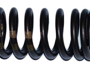 06E109623H Пружина клапана впуск VW Passat B6 05-10 (06E109623H)