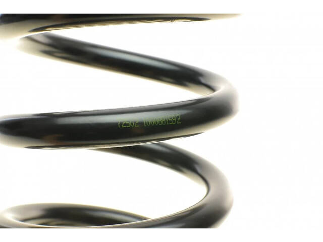 Пружина підвіски LESJOFORS 4095023 Volkswagen Transporter 251411105A, 251411105 - Фото 2