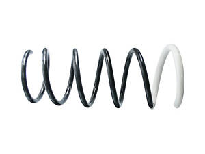 Пружина підвіски (задня)