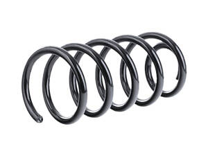 Пружина підвіски (задня)