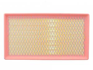 PURFLUX A3081 Фільтр повітряний BMW 7 (F01/F02/F03/F04/G11/G12) 6.0/6.6i 09- (N74)