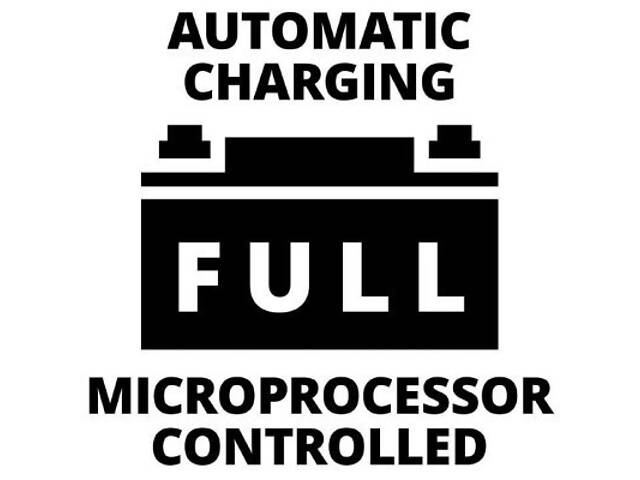 Пусковий зарядний пристрій Einhell CE-BC 30 M, 12/24 В, 3-600 А/г, макс. 30А (1002275) - Фото 10