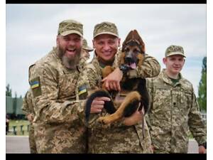 Робота служба Погранслужба Державна прикордонна служба України