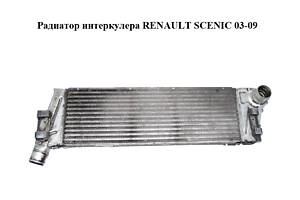Радіатор інтеркулера RENAULT SCENIC 03-09 (РЕНО СЦЕНИК) (8200115540)