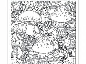 Розмальовка антистрес Santi Чудо-ліс 742912 20 сторінок