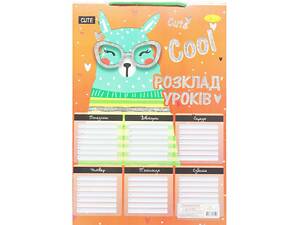 Расписание уроков А4 ламинация РУ-Л4-01 Апельсин, тасьма Лама Вид 6