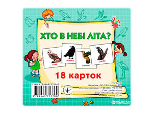 Развивающие карточки для детей Кто в небе летает J014y, 18 картинок