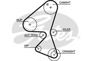 Ремінь ГРМ для моделей: CITROËN