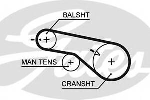 Ремень ГРМ для моделей: HYUNDAI (H-1, SONATA,H-1,TRAJET,HIGHWAY,SANTA-FE), KIA (MAGENTIS,SORENTO)