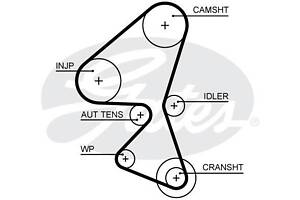 Ремень ГРМ FORD FOCUS / FORD C-MAX / PEUGEOT 301 / CITROEN DS5 / FORD FIESTA 1996-2021 г.