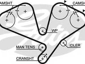 Ремень ГРМ GATES 5442XS на MITSUBISHI SHOGUN II (V3_W, V2_W, V4_W)