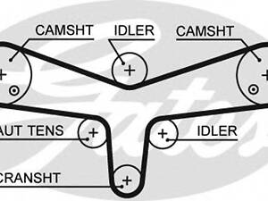 Ремінь ГРМ GATES 5624XS на LAND ROVER LR4 IV (LA)