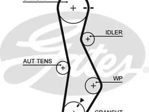 Ремень ГРМ на Accent, Carens, Ceed, Cerato, Elantra, Getz, Grandeur, I30, Magentis, Matrix, Santa Fe, Sonata, Sportag...