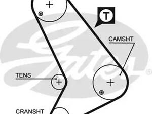 Ремінь на Transit, Transit Tourneo