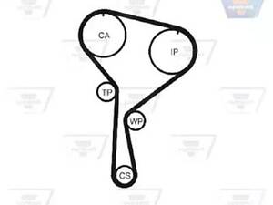 Ремень на Clio, Duster, Fluence, Grand Scenic, Jimny, Kangoo, Kubistar, Laguna, Logan, Megane, Modus, NV200, Note, Qa...