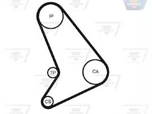 Ремень на Transit, Transit Tourneo