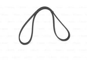 Ремінь на A3, Alhambra, Bora, Caddy, Cordoba, Galaxy, Golf, Ibiza, Leon, Multivan, New Beetle, Octavia, Polo, Sharan,...