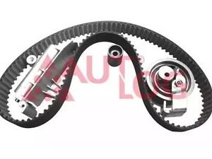 Ременный комплект на A4, A6, Alhambra, Arosa, Bora, Fabia, Golf, Leon, New Beetle, Octavia, Passat B5, Polo, Superb