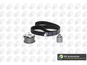 Ремінний комплект на A3, A4, Alhambra, Altea, Bora, Eos, Fabia, Golf, Ibiza, Jetta, Leon, Lupo, New Beetle, Octavia,...