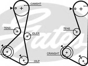 Ремінь газорозподільного механізму GATES 5373XS на MITSUBISHI DELICA фургон (P0_W, P1_W, P0_V, P1_V, P_2V, P2_W)