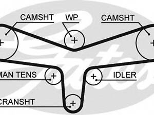 Ремінь ГРМ GATES 5557XS на AUDI A8 седан (4D2, 4D8)