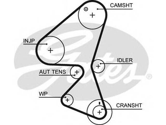 Ремінь ГРМ GATES 5598XS на CITROËN BERLINGO (B9)