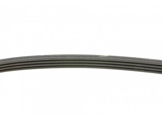 Ремінь поліклиновий DAYCO 4PK668 Fiat Punto, Panda, Doblo, Grande Punto, Linea, 500L, 500; Daewoo Matiz; Opel Combo; Che - Фото 2